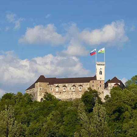 Gorup Palace Apartment